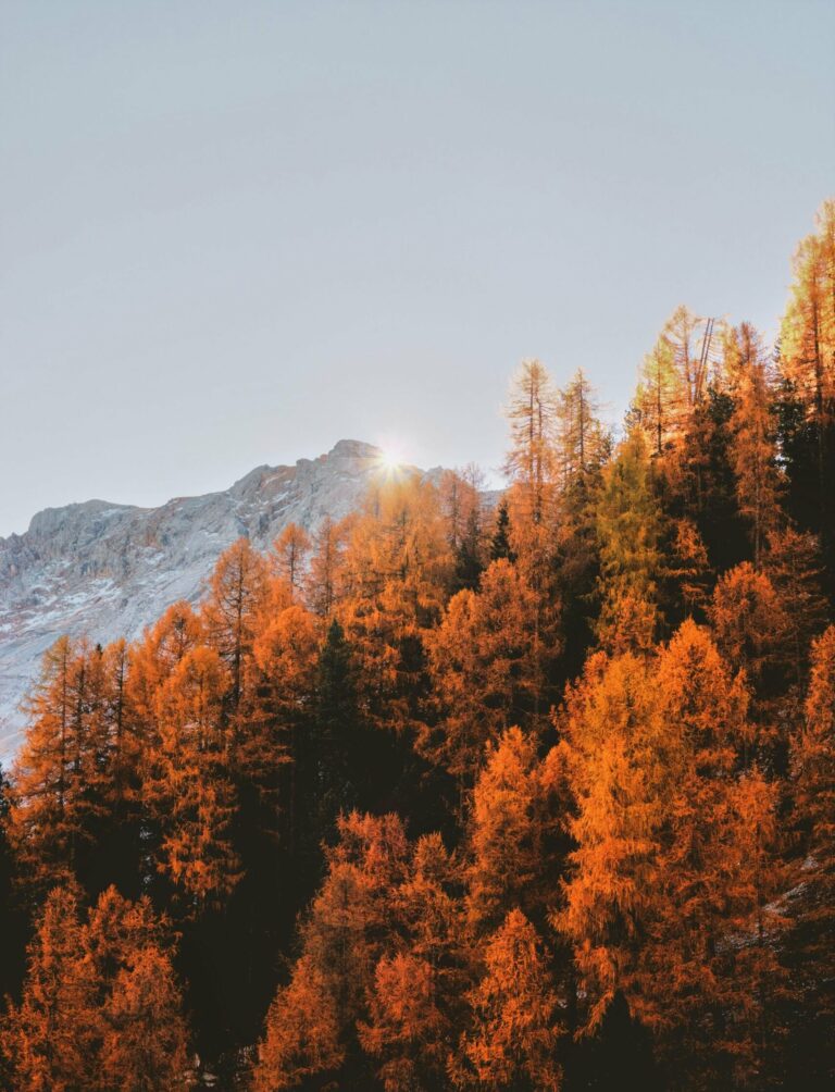 Herbstliche Aktivitäten in Hannover